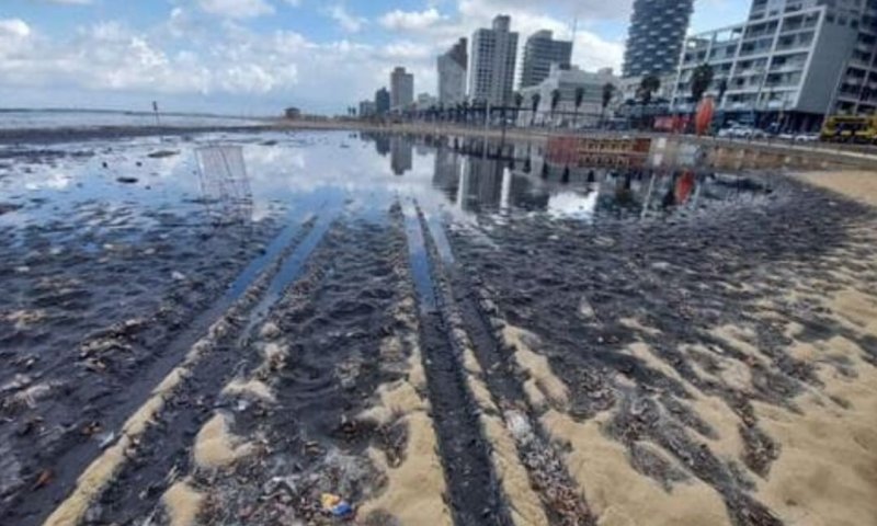משרד הפנים הודיע: חופי תל אביב מותרים לרחצה