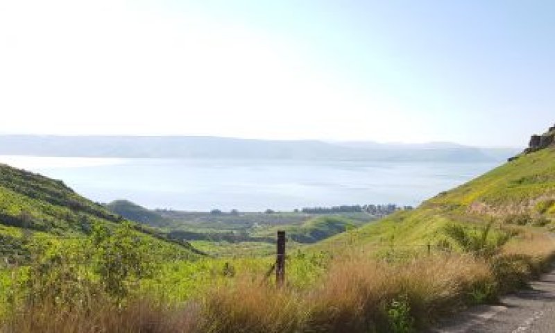 אחרי סופ"ש סוער: מפלס הכנרת רושם זינוק נוסף