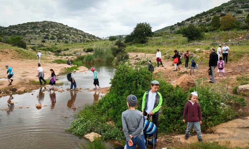 יום חג: 100 אלף איש בשמורות הטבע והגנים