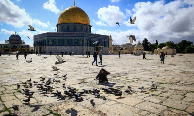 קצר על הפרשה| צריכים לדרוש להתפלל בהר הבית
