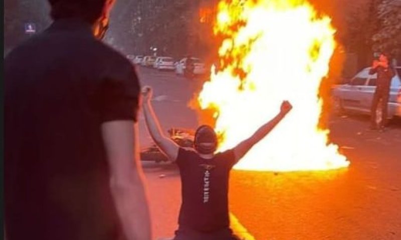 הסלבס ממשיכים להיעצר; מספר שיא של הרוגים