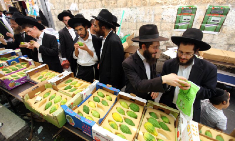 ושלא יעבדו עליכם:הלקסיקון המלא לשוק ארבעת המינים