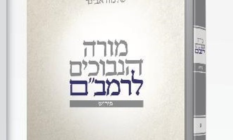 ספר חדש: מורה נבוכים או מביך תמימים?