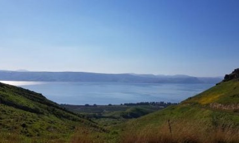 בדרך להחליף קדומת: מפלס הכנרת ממשיך לטפס