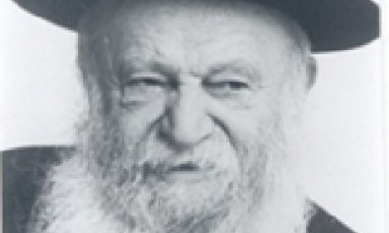 "הרב'ה שלנו הגר"א, ידע טוב מה הוא עושה כשברח מהחסידים"