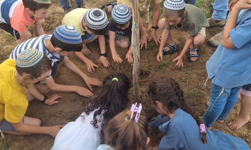 ילדי כרם שלום שתלו עצים בבורות שנפערו מהרקטות