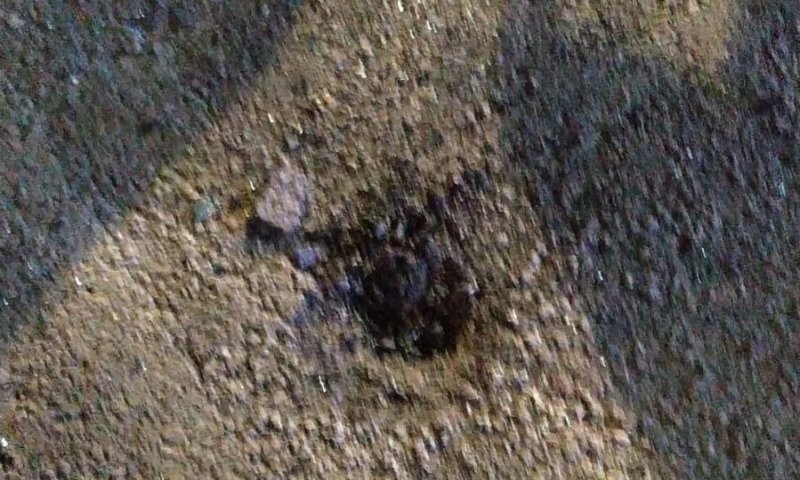 פיצוץ בכלא שקמה: הערכה כי מדובר באירוע פלילי