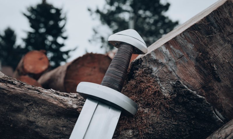 חרב בת אלף שנה נשלפה מנהר הולנדי &ndash; כמעט ללא סימני חלודה