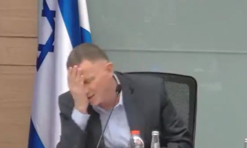 מי אדוני? הפאדיחה של אדלשטיין עם ח"כ מיש עתיד