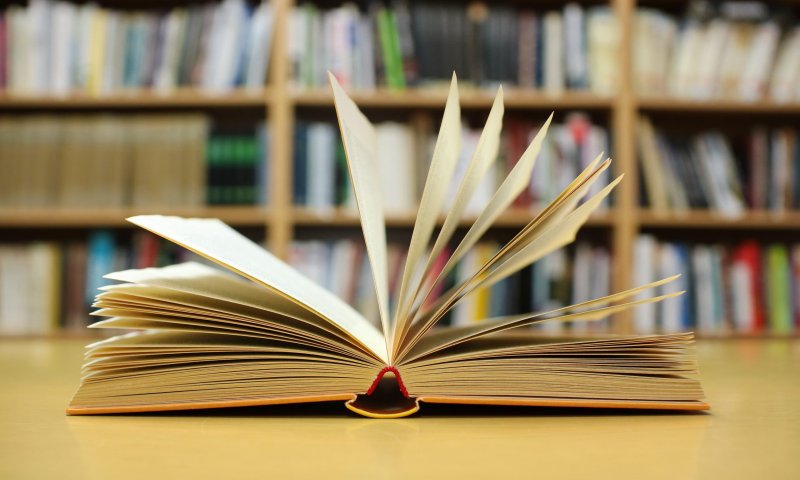 ספרי פרוזה או מתח: מה הישראלים אהבים לקרוא?