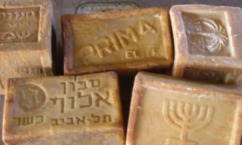 הצעות לפעילויות וסיורים בחול המועד