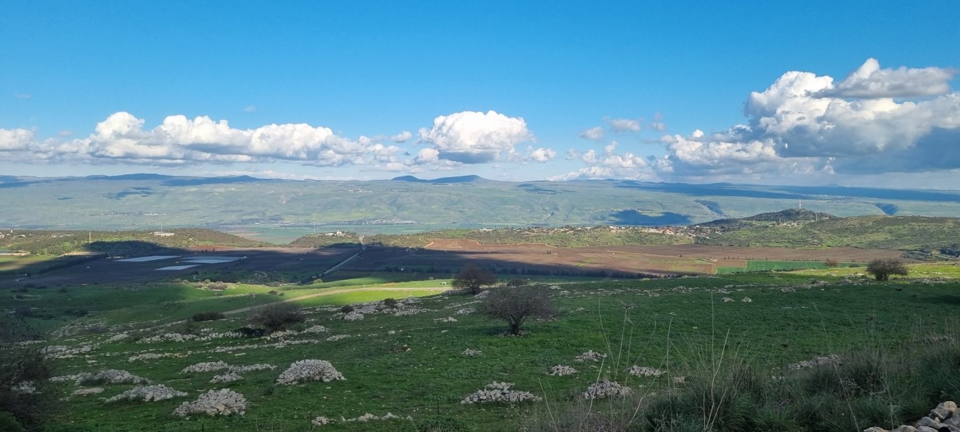 קובי פינקלר, סרוגים