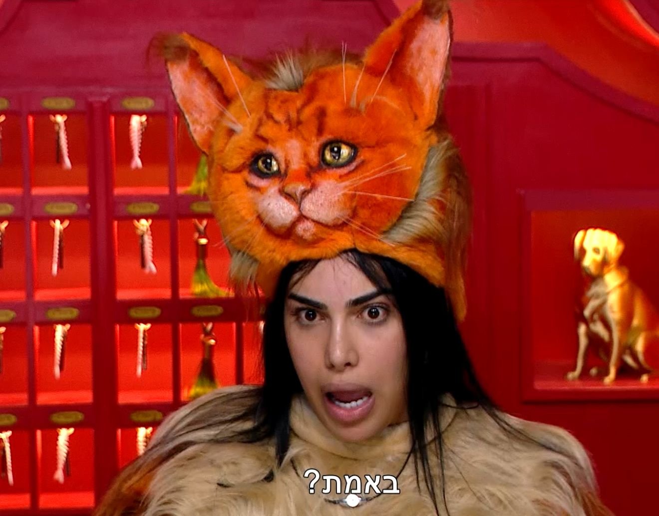 מתוך הפרק של האח הגדול, רשת 13