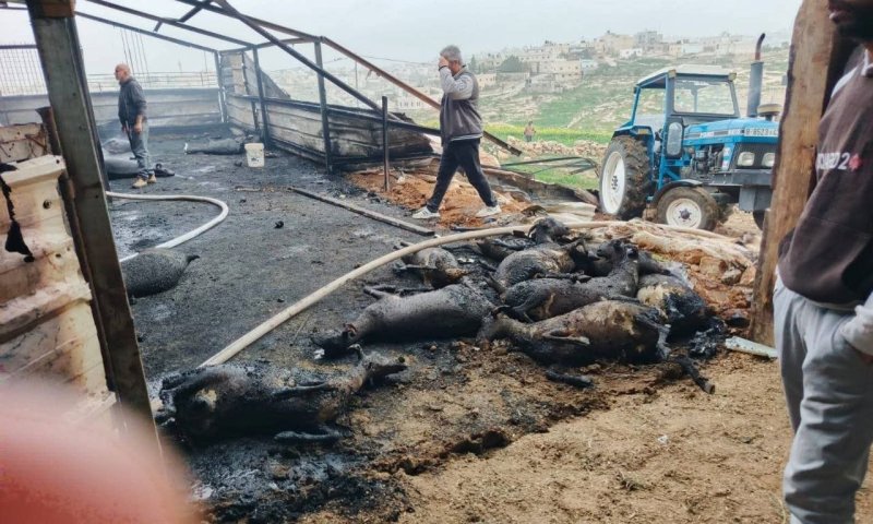 המשטרה על שריפת הדיר בסמוע: חשד לקצר חשמלי