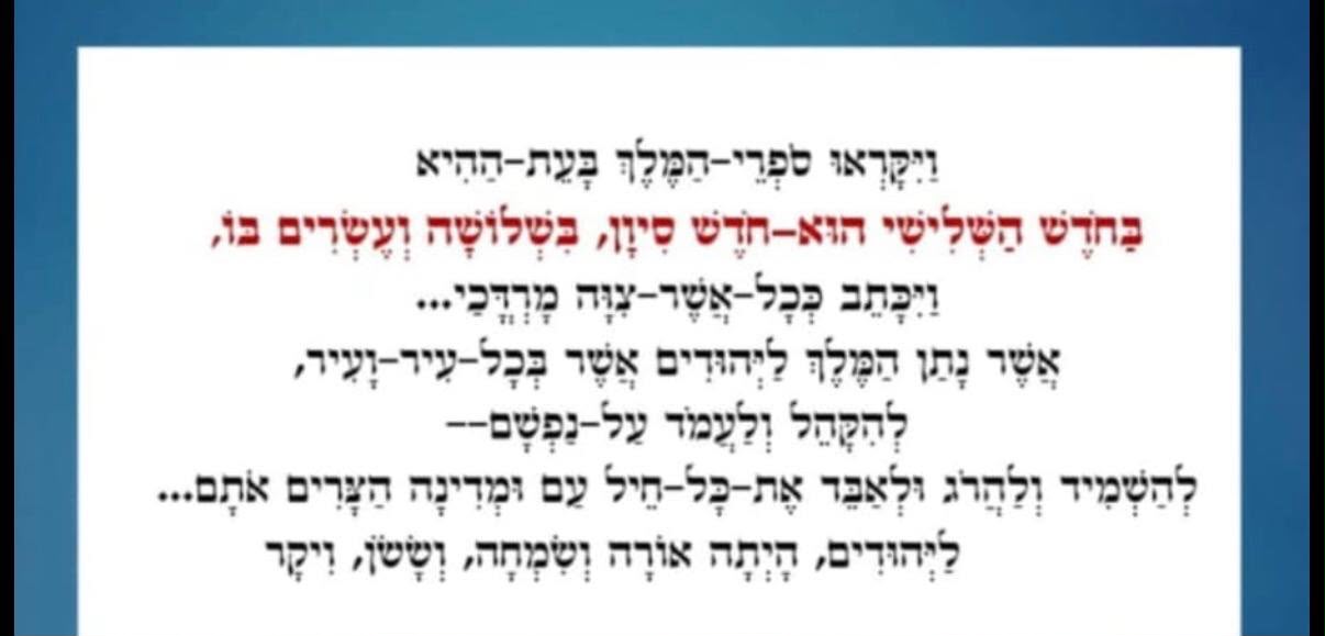 צילום מסך 