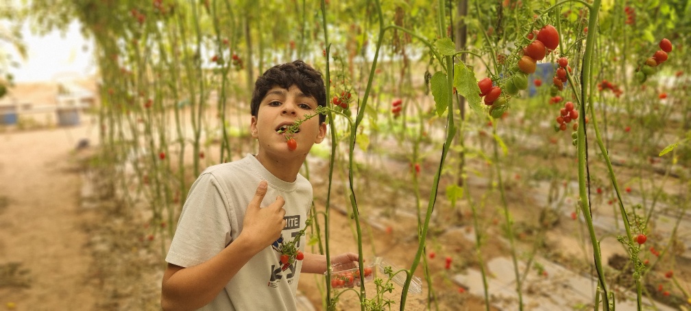 קובי פינקלר, סרוגים