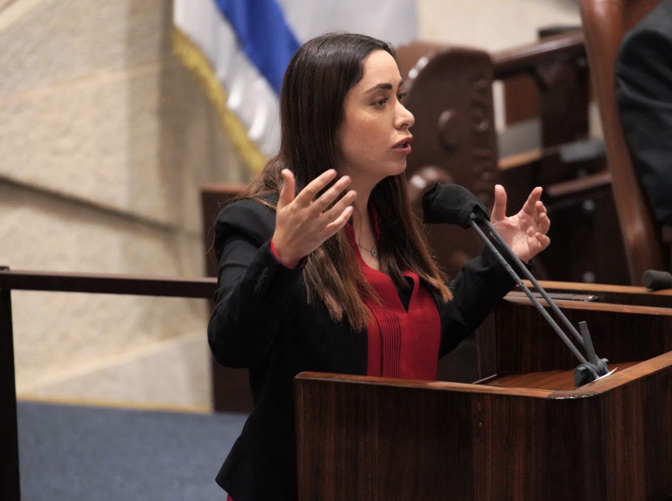 דני שם טוב דוברות הכנסת