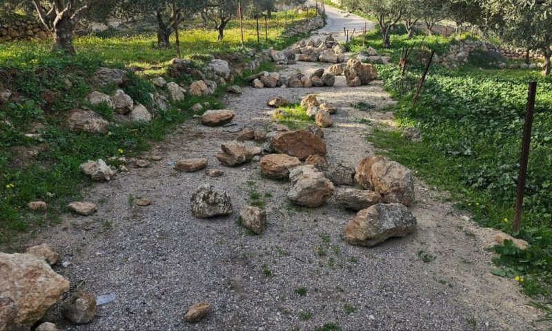 טרור בבנימין: כ-50 פורעים תקפו רועי בקר יהודים