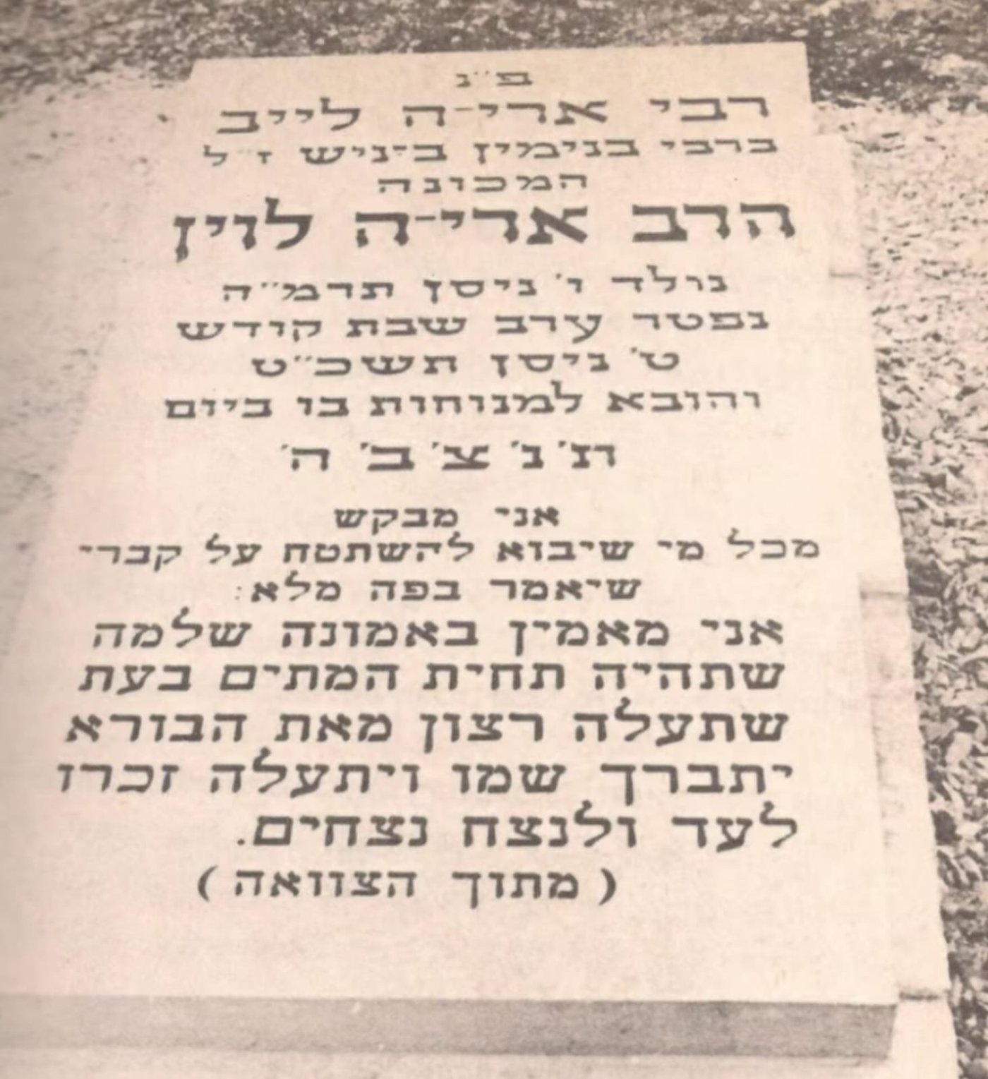 שמואל גולדין