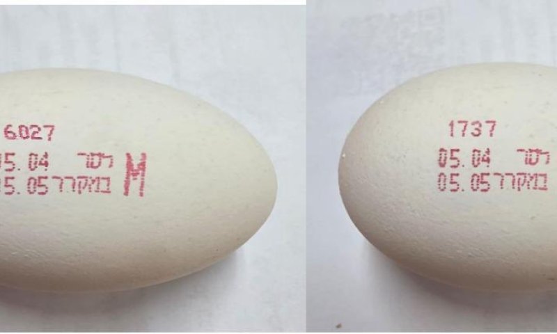 סוכל ניסיון הברחת ביצים מזויפות לקהילה החרדית בירושלים 