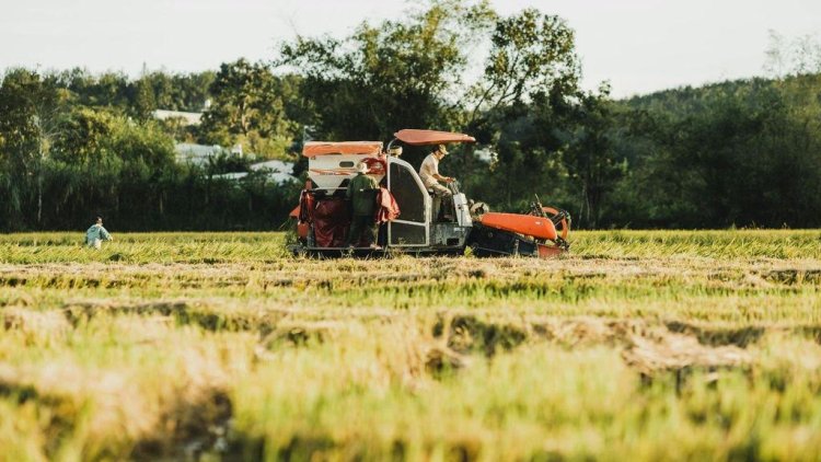 חקלאות. מחסור בידיים עובדות ועלייה בגיל החקלאים באירופה