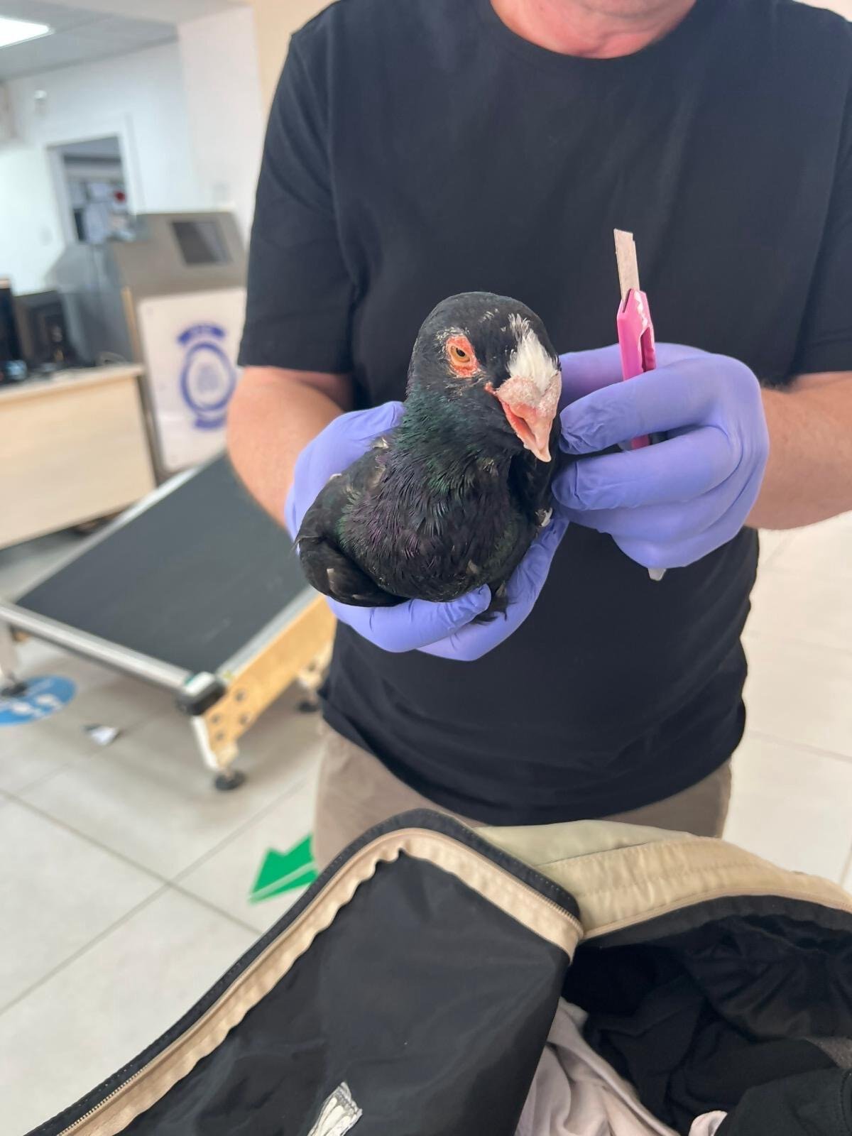 קרדיט צילום – רשות המיסים