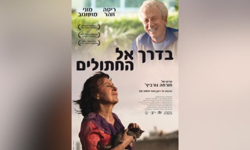הסרט הראשון שלי &ndash; חורחה גורביץ' על "בדרך אל חתולים"