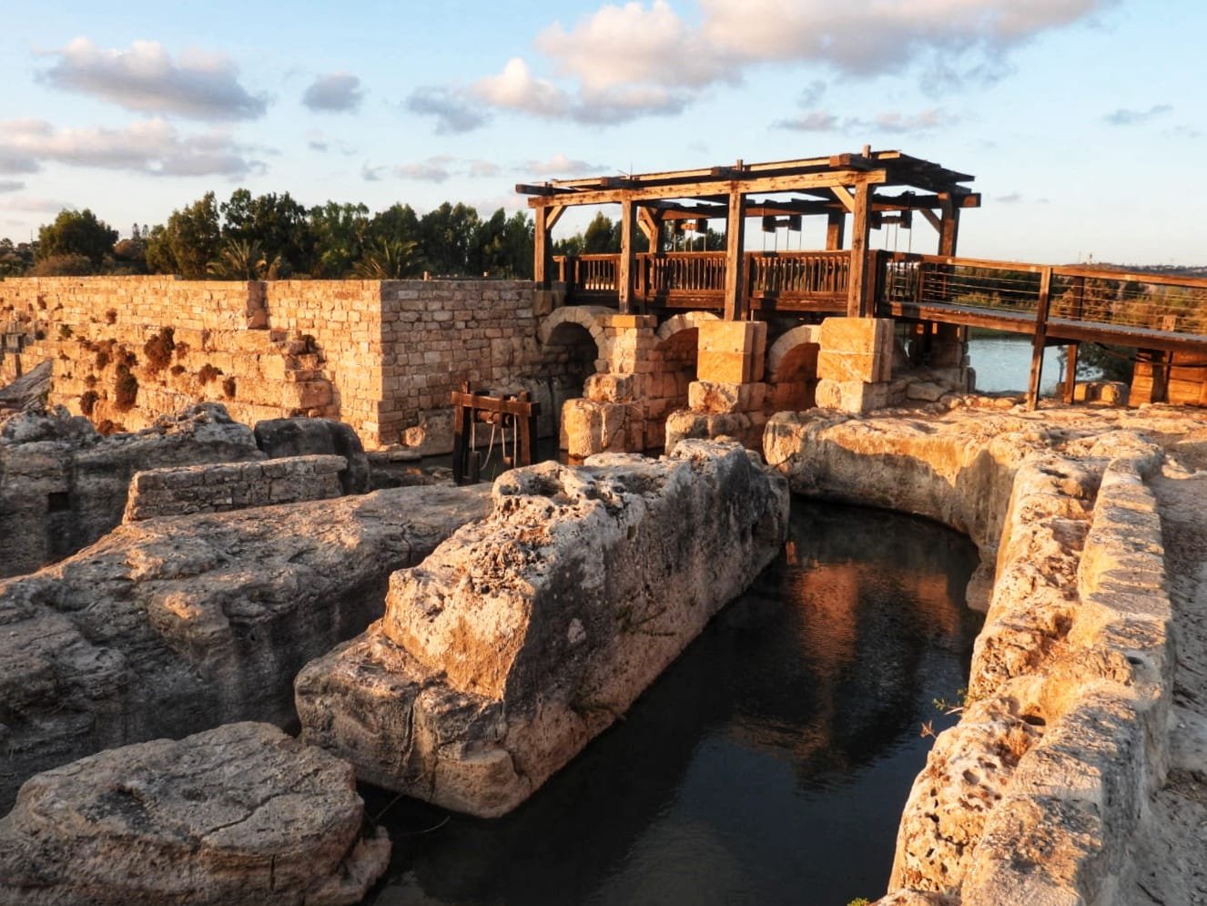 (צילום: שרית פלצי מיארה רשות הטבע והגנים)