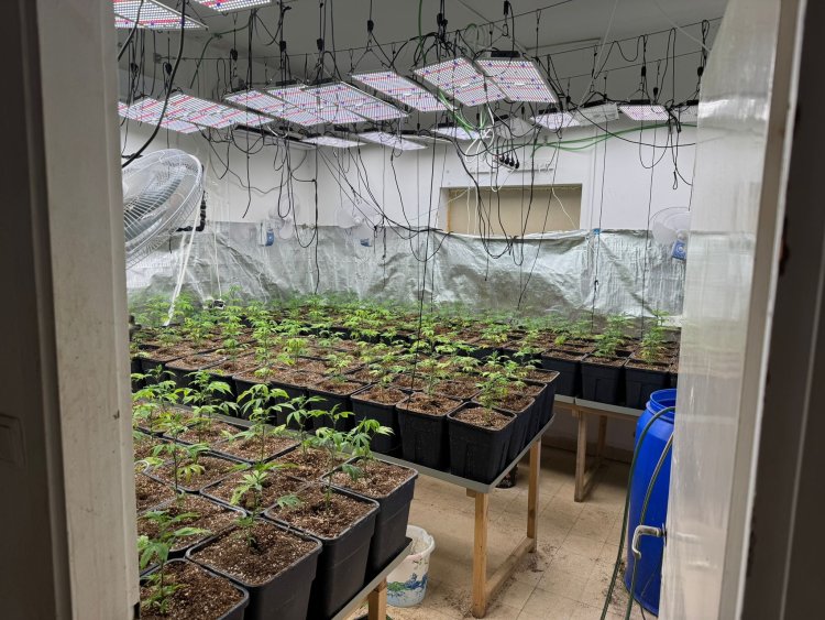 דוברות המשטרה