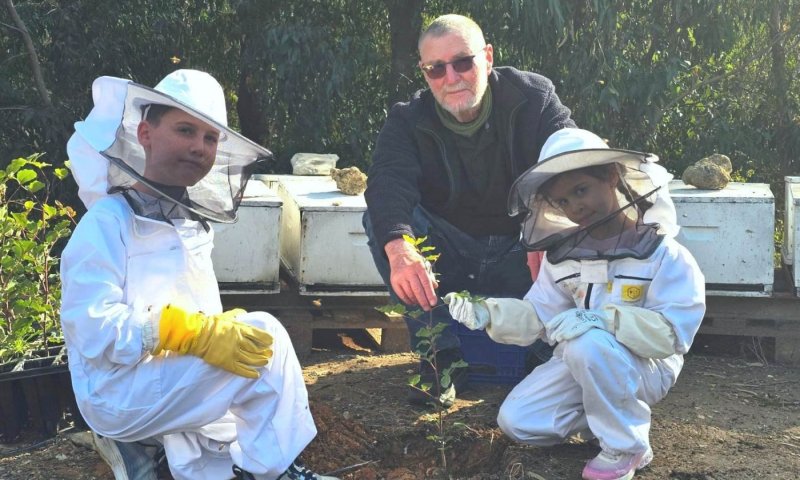 נגד היעלמות הדבורים: 32 אלף עצים ניטעו כדי להציל את הדבש