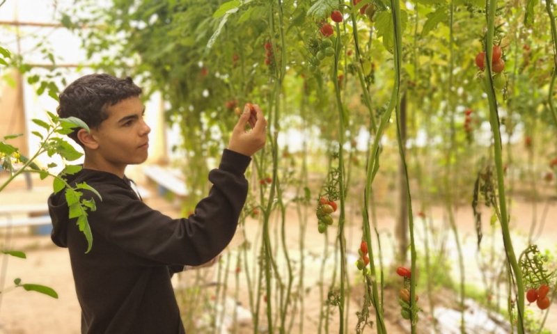 מחזקים את העוטף: המלצה לטיול כלניות משפחתי בחבל אשכול