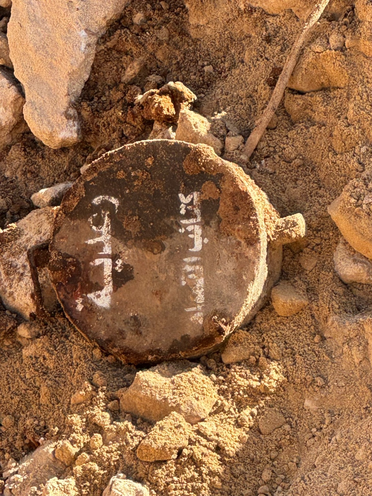צילום: דובר צה"ל