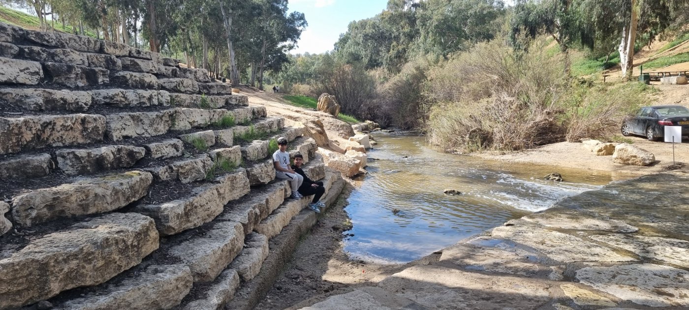 קובי פינקלר, סרוגים
