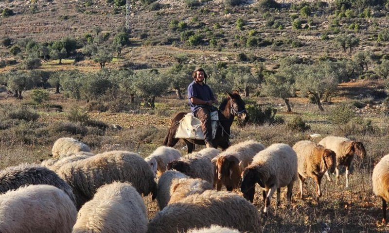 שלושה מקרים בחודשיים: הכלי החדש נגד נקודות ההתיישבות