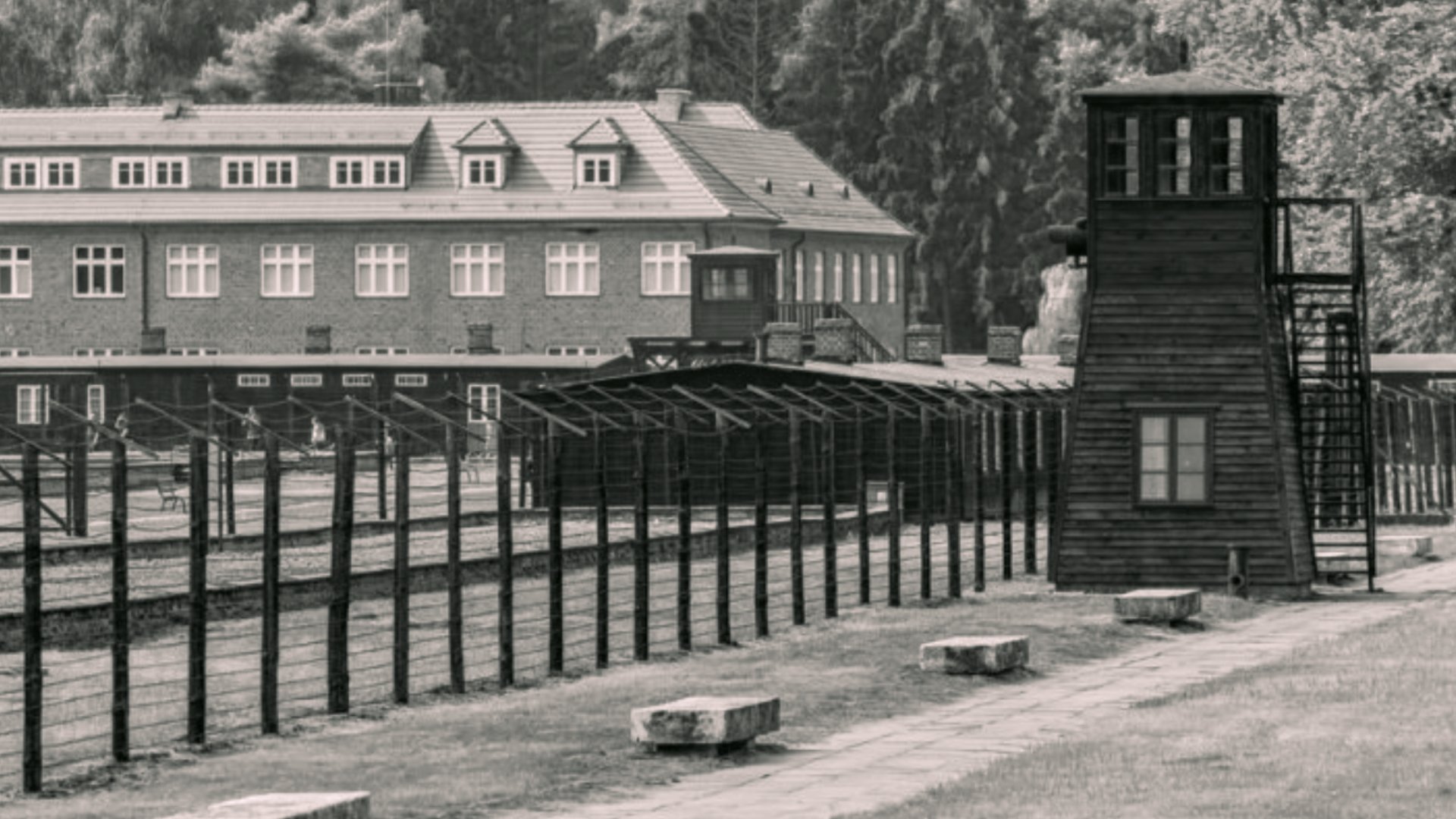 אילוסטרציה (צילום: שאטרסטוק)