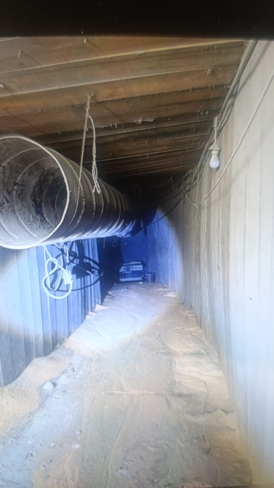 צילום: דובר צה