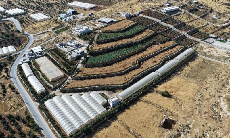 פלסטינים השתלטו על שטח עצום בהר חברון