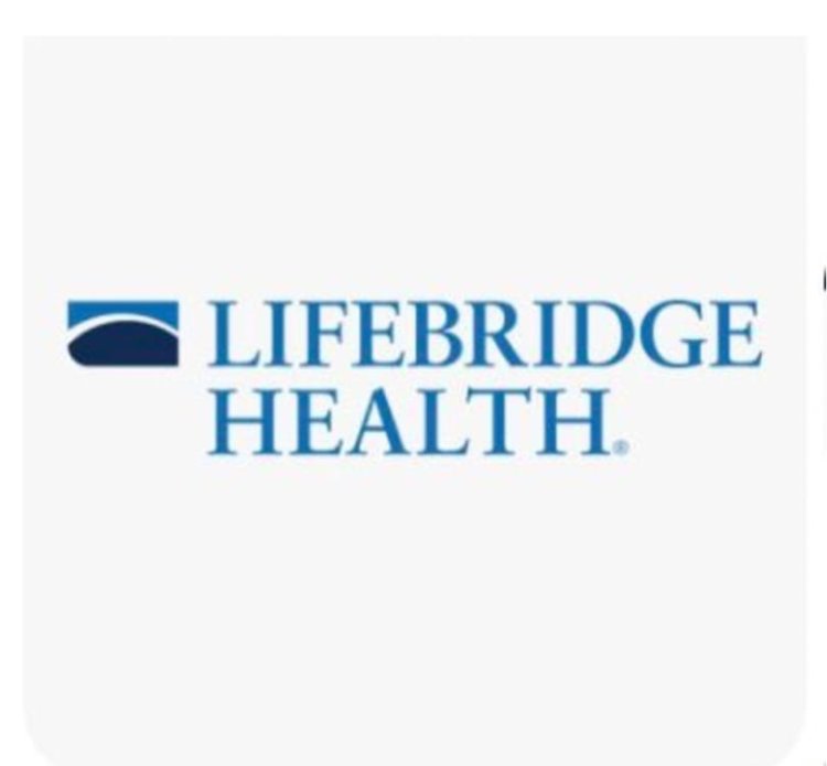 סמל ארגון הבריאות האמריקני 'LifeBridge Health' (צילום מסך: אריאל נורפראוור)  