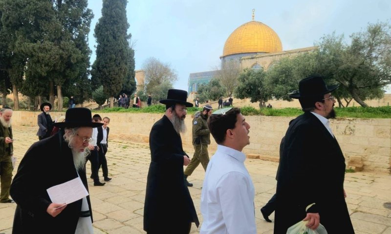 אחרי 41 יום: יהודים חזרו להר הבית