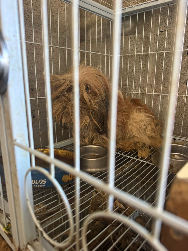  משרד החקלאות וביטחון המזון