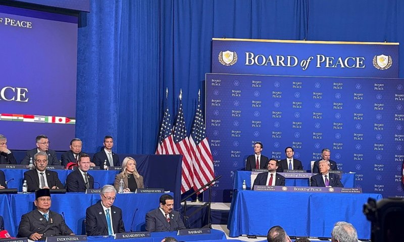 מועצת השלום נגד המשט לעזה: "אקטיביזם ראוותני"