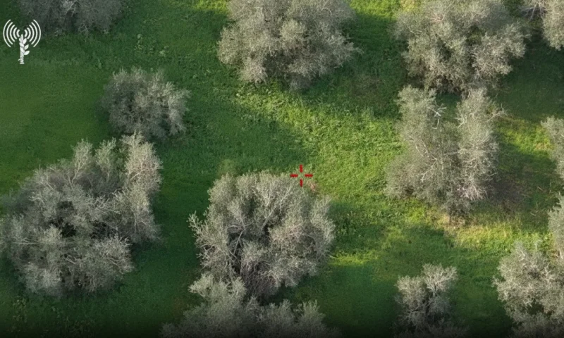 אחד בשיח, שלושה ברכב: תיעוד חיסול חולייה בלבנון