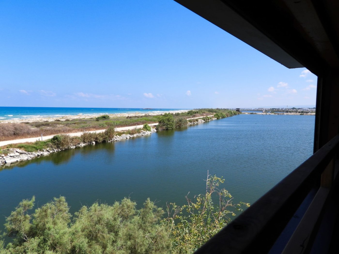 דב גרינבלט, החברה להגנת הטבע.