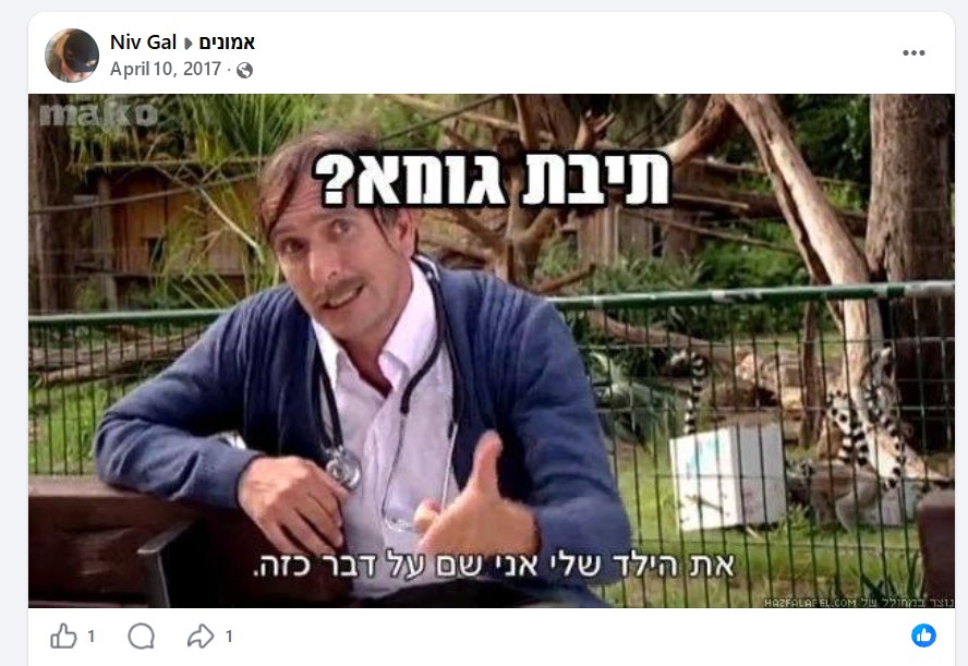 צילום מסך