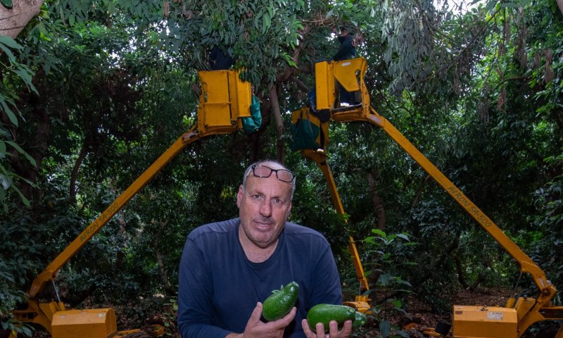 צה"ל מודה: נבדקת אפשרות שעופר מוסקוביץ' נהרג מירי כוחותינו
