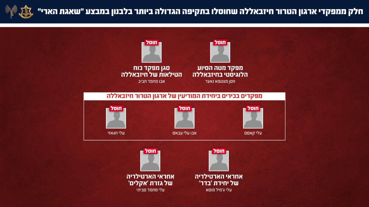 צילום: דובר צה