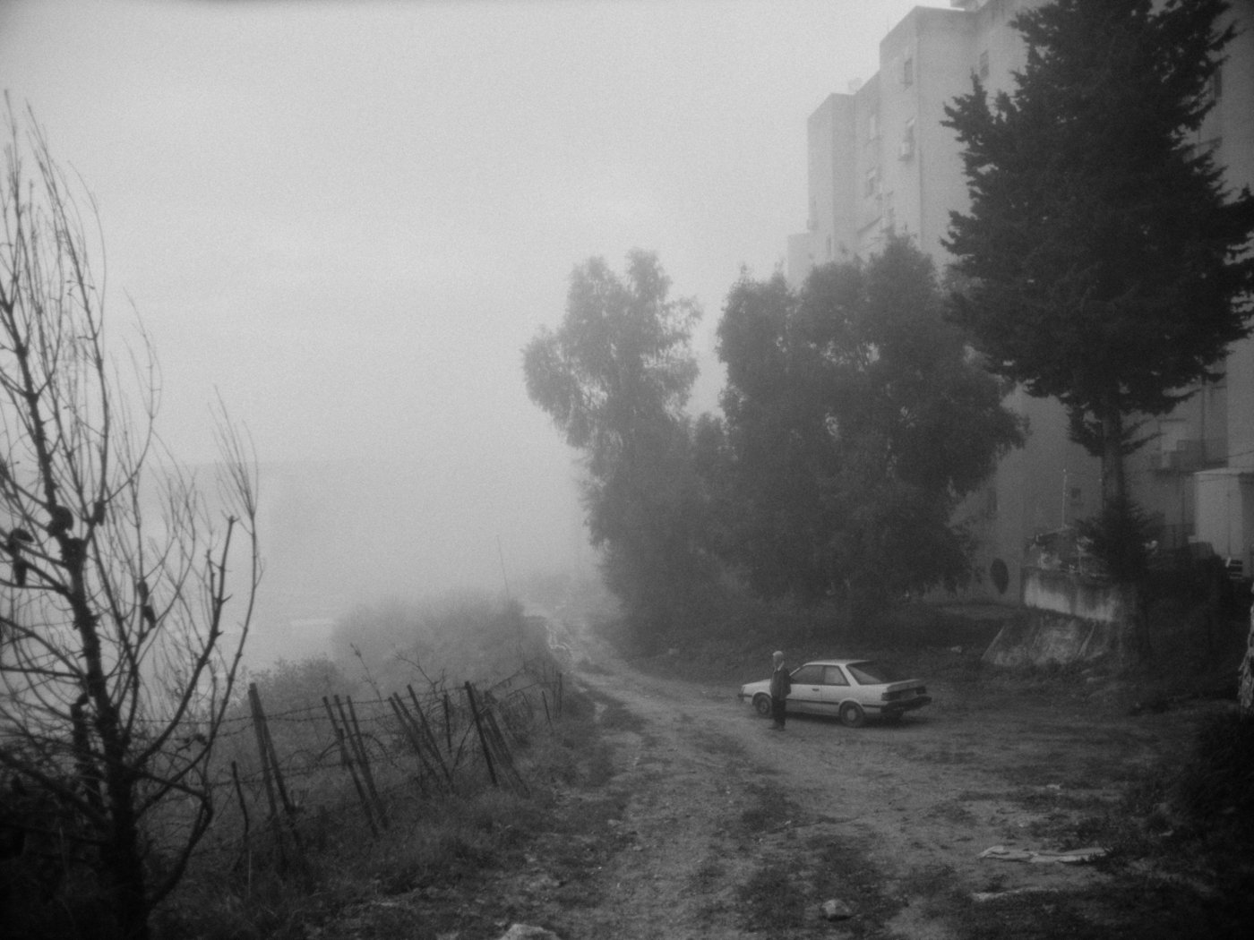 יניב לינטון