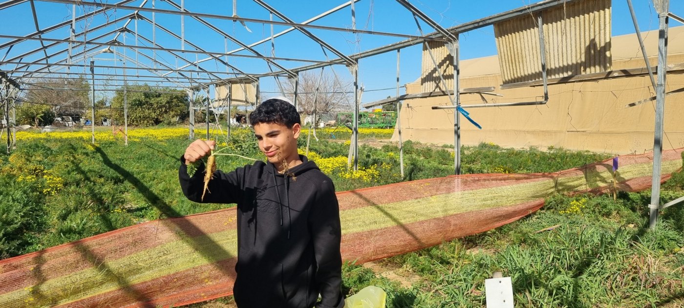 קובי פינקלר, סרוגים