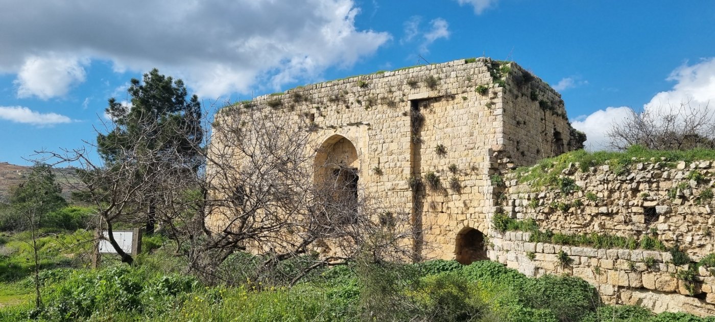 קובי פינקלר, סרוגים
