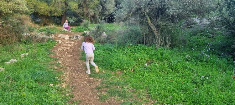 קובי פינקלר